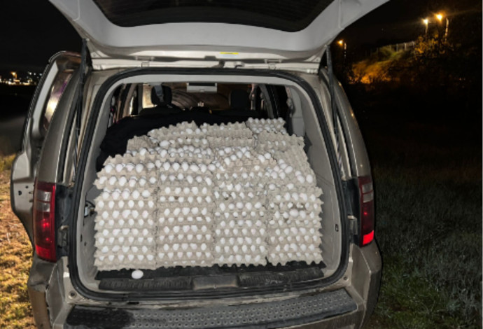 12,000 ביצים שהוברחו לתוך שטח ישראל  (צילום:  דוברות המשטרה)