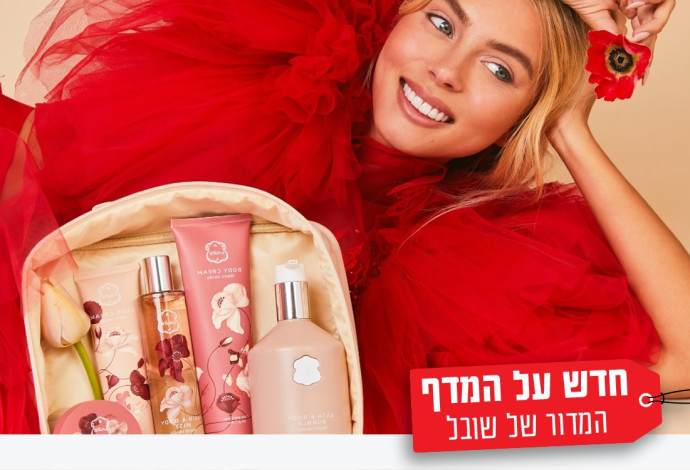 חדש על המדף (צילום:  שי תמיר)