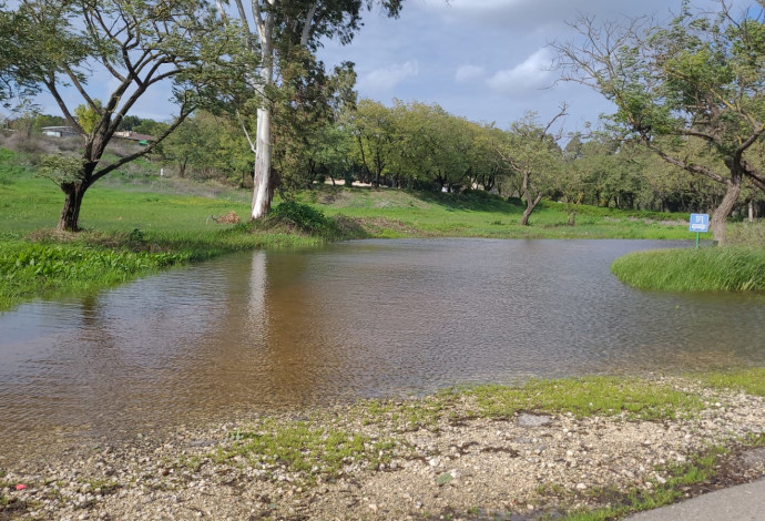 בריכת החורף בגן הלאומי ירקון תל אפק התמלאה במים. צילום  (צילום:  אדר סטולרו מליחי רשות הטבע והגנים)