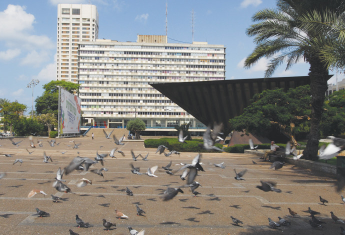 עיריית תל אביב (צילום:  יערי פלאש פלאש 90)