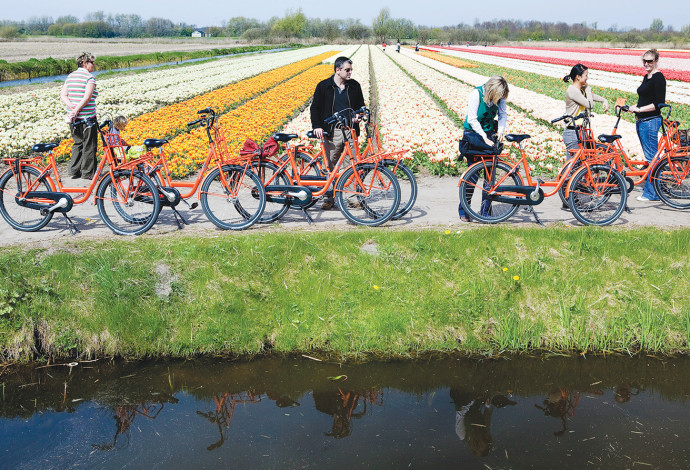 רוכבים הולנדים בשדה (צילום:  רויטרס)
