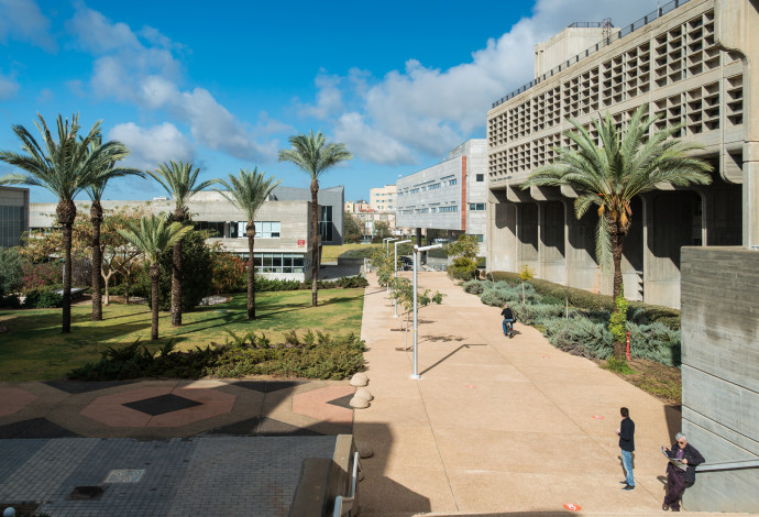 אוניברסיטת בן גוריון (למקום המצולם אין קשר לכתבה) (צילום:  דני מכליס)
