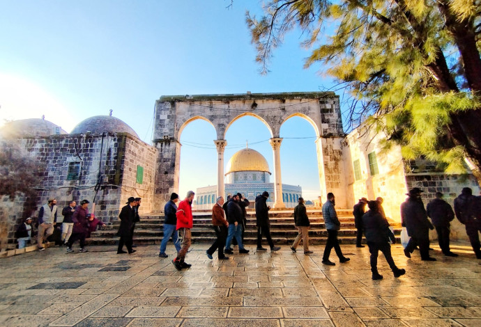 הר הבית (צילום:  אופירה הלוי)