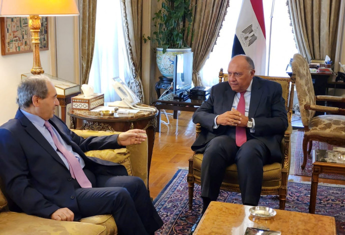 שר החוץ המצרי סאמח שוכרי ושר החוץ הסורי פייסל אל-מקדאד (צילום:  REUTERS)