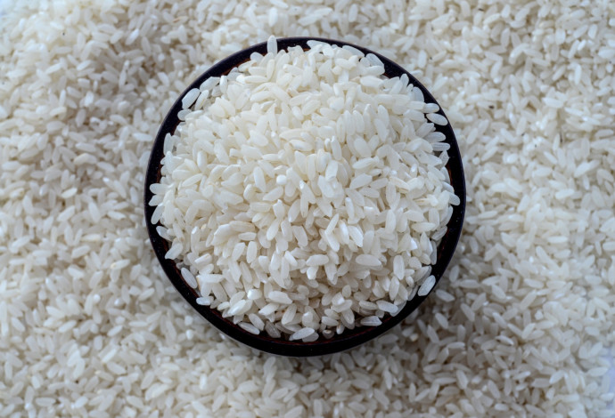 באדיבות european rice האורז האירופי החדש (צילום:  יחצ)