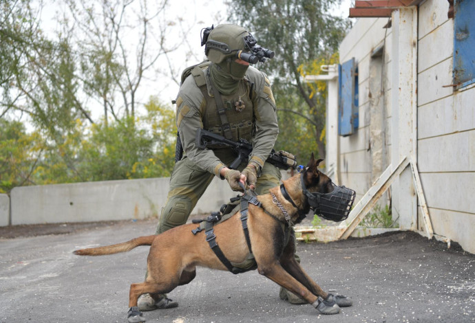 הכלב ג׳אנגו (צילום:  דוברות המשטרה)