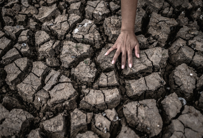 נאבקים במשבר האקלים (צילום:  אינגאימג')