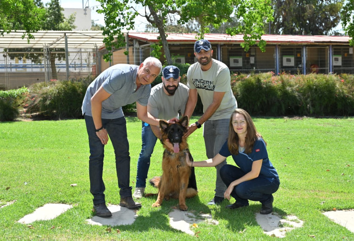 הכלב שנמצא במצב אנוש בזירת הרצח‎‎ (צילום:  רן אליהו)