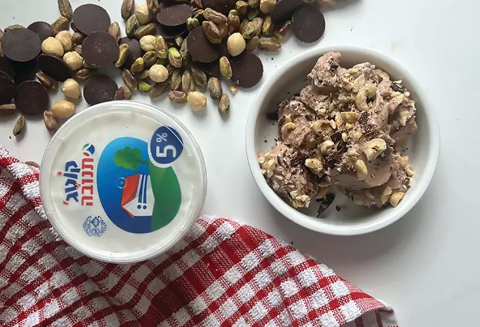 גלידת קוטג' בטעמי שוקולד וניל (צילום:  עומר ישכיל)