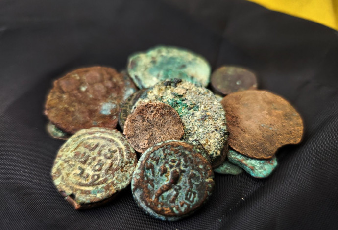 המטבעות העתיקים (צילום:  רשות העתיקות)