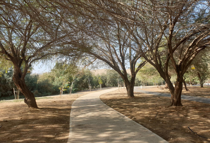 הטיילת באגם ירוחם  (צילום:  עדי מרציאנו)