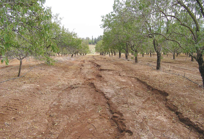 סחף קרקע (צילום:  משרד החקלאות)