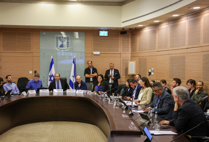 ועדת החוקה (צילום:  נועם מושקוביץ, דוברות הכנסת)