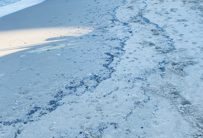 זיהום נפט בחוף הים (צילום:  גיא לויאן, רשות הטבע והגנים)