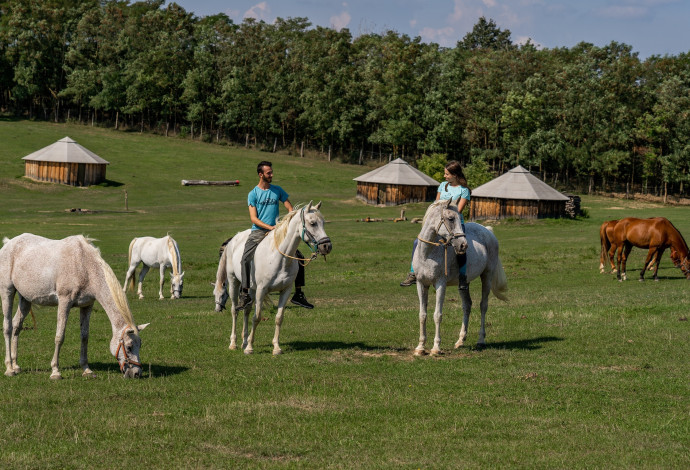 ספארי סוסים בהונגריה (צילום:  HNTO)