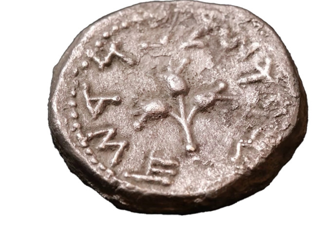 מטבע הכסף לאחר הניקוי (צילום:  אמיל אלג'ם, רשות העתיקות)