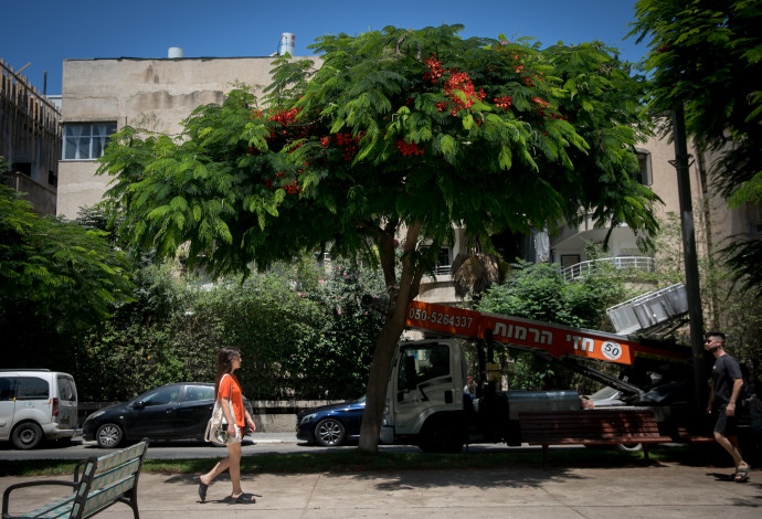 תל אביב (למצולמים אין קשר לנאמר בכתבה) (צילום:  מרים אלסטר, פלאש 90)