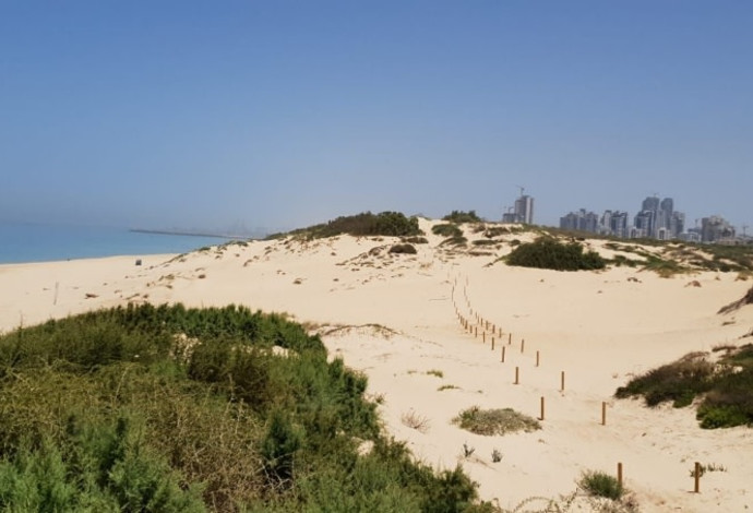פארק אקולוגי מצודת אשדוד (צילום:  תכנון נופי וליווי אקולוגי ליאב שלם)