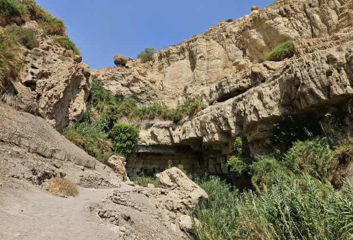 מקום האסון בנחל דוד (צילום:  רשות הטבע והגנים)