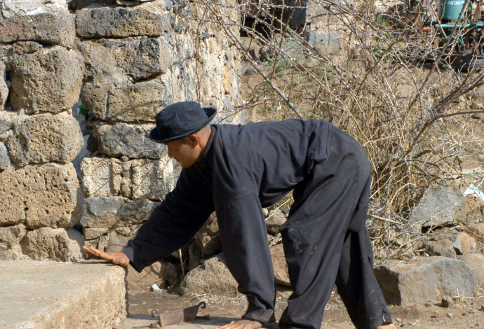 המשפחה שהולכת על ארבע (צילום:  רויטרס)