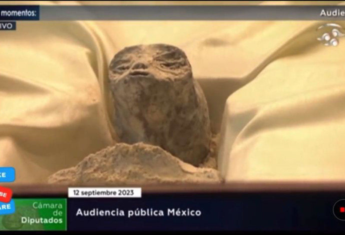 גופות החייזרים שהוצגו בקונגרס המקסיקני (צילום:  מתוך טוויטר)