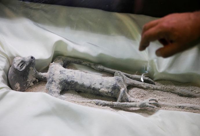 מה מקורם של "גופות החייזרים" שהוצגו בקונגרס במקסיקו? (צילום:  רויטרס)