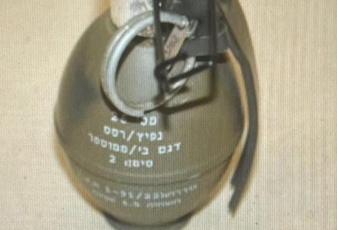 רימון (צילום:  משטרת ישראל)