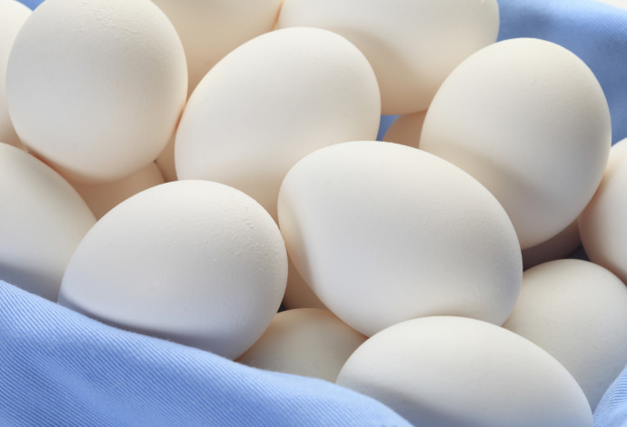ביצים (צילום:  אינג'אימג')