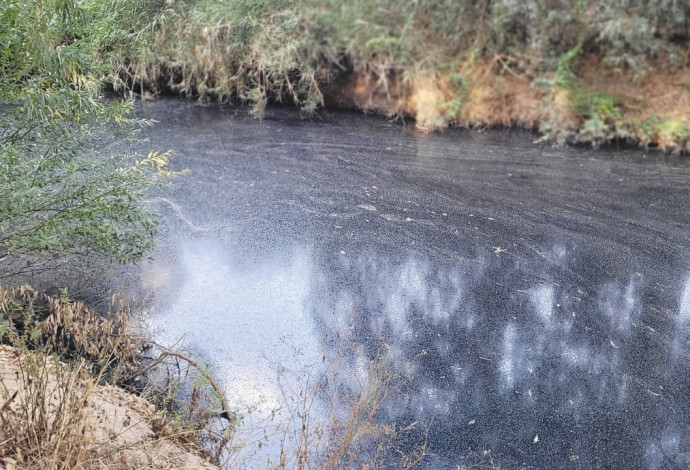 זיהום בנחל שורק (צילום:  רשות הטבע והגנים)