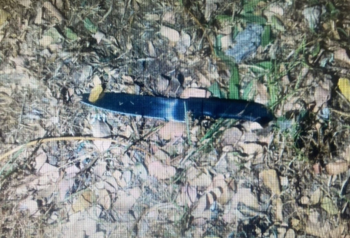הסכין שבה השתמש הנאשם לדקור את חברו (צילום:  דוברות המשטרה)