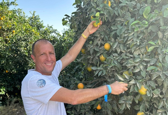 גלעד אלמוג (צילום: אסף לוי)