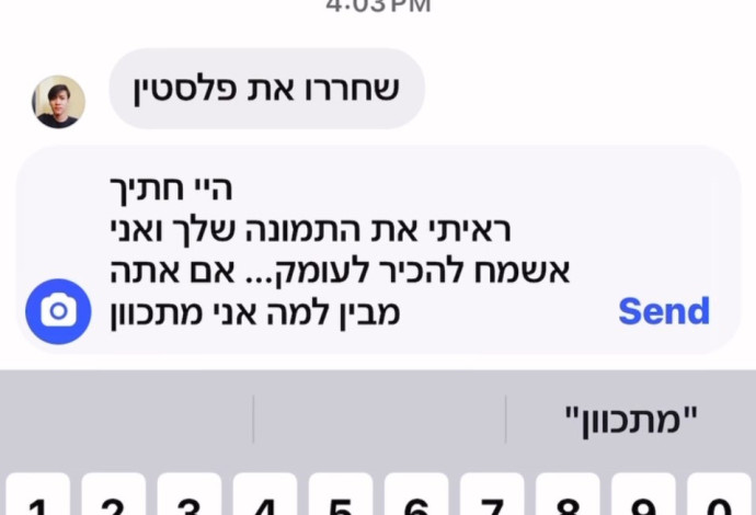 שלום מיכאלשווילי עונה לתומך פלסטין שהטריל אותו באינסטגרם (צילום: צילום מסך אינסטגרם)