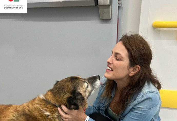 רגעי האיחוד המרגש של עמית סוסנה, עם כלבתה סאני (צילום: דוברות המרכז הרפואי וולפסון)