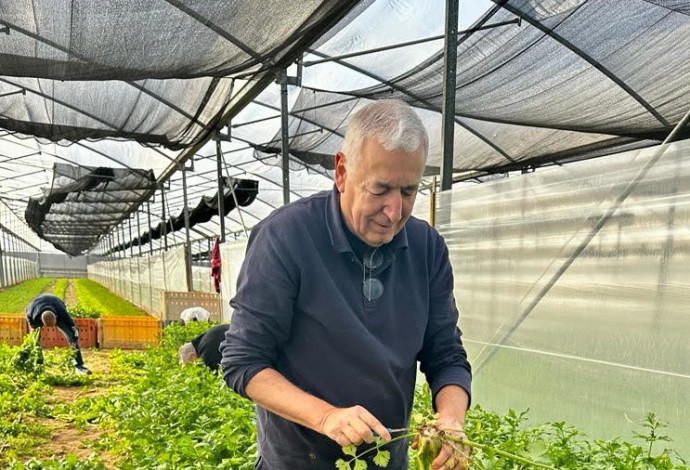 שלמה מור יוסף   (צילום: דוברות לאומית שירותי בריאות)