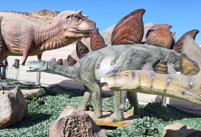 מיצג דינוזאורים (צילום: המועצה האזורית תמר ים המלח )