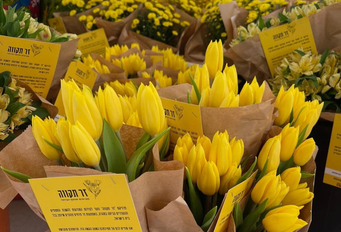 זרי תקווה (צילום: קרן כדר)