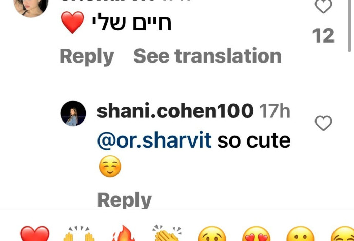 אור שרביט מגיבה לבן הזוג איתי לוי  (צילום: צילום מסך אינסטגרם)