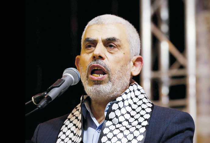 סינוואר. מבנה שיניים יחודי בעל עקמומיות ורווחים (צילום:  עאבד רחים קטיב, פלאש 90)