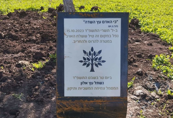 נשתל עץ אלון  (צילום:  באדיבות פארק אריאל שרון)