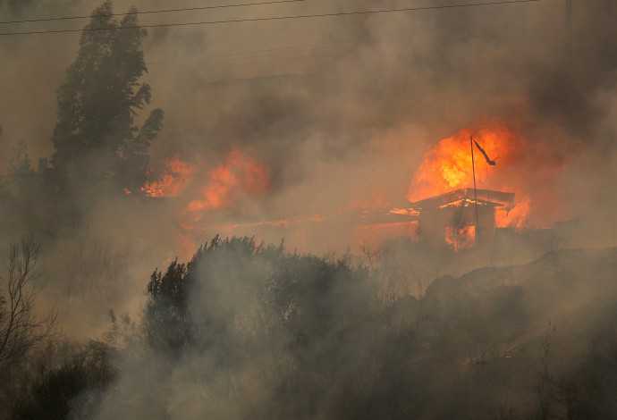 שריפות בצ'ילה (צילום:  REUTERS/Rodrigo Garrido)