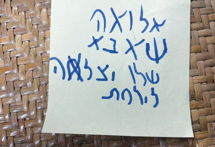 המשאלות של ילדי המפונים  (צילום:  באדיבות 'חוסן לילדינו')