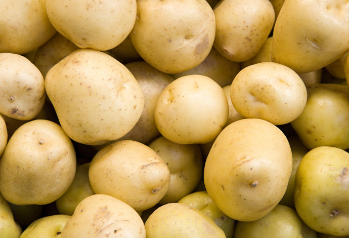 תפוחי אדמה (צילום:  אינג'אימג')