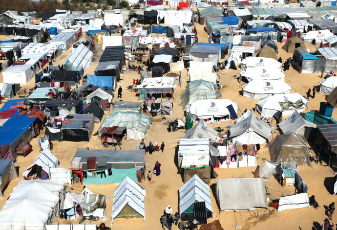 אוהלים של מפונים עזתים ברפיח (צילום:  רויטרס)