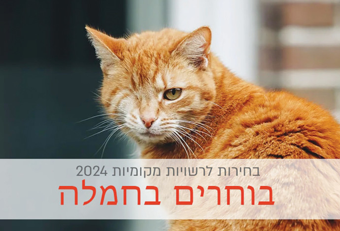 מתוך עמוד הקמפיין (צילום:  באדיבות עמותת נח)