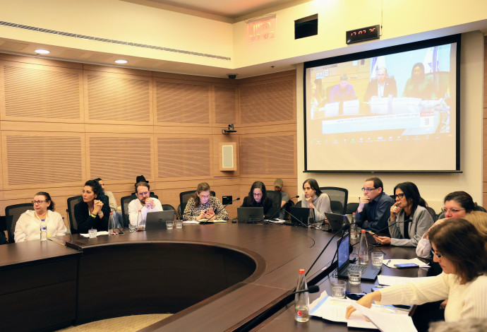 ועדת החוקה והוועדה לקידום מעמד האישה (צילום:  דני שם טוב, דוברות הכנסת)