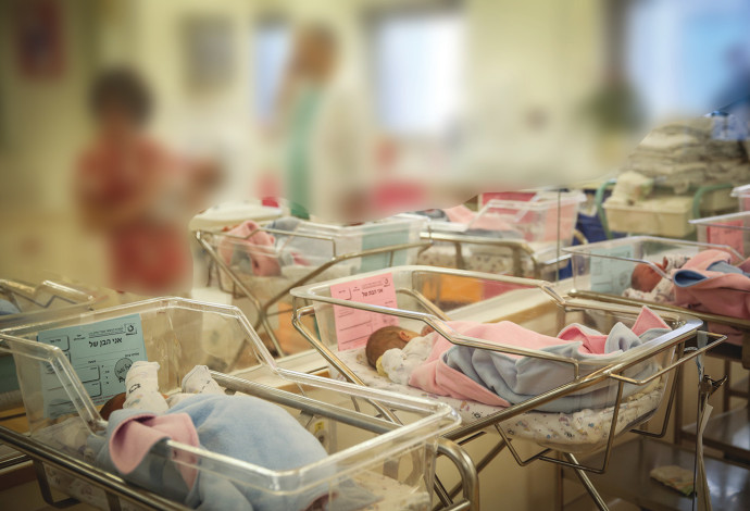 תינוקות בבית חולים (צילום:  הדס פרוש, פלאש 90)