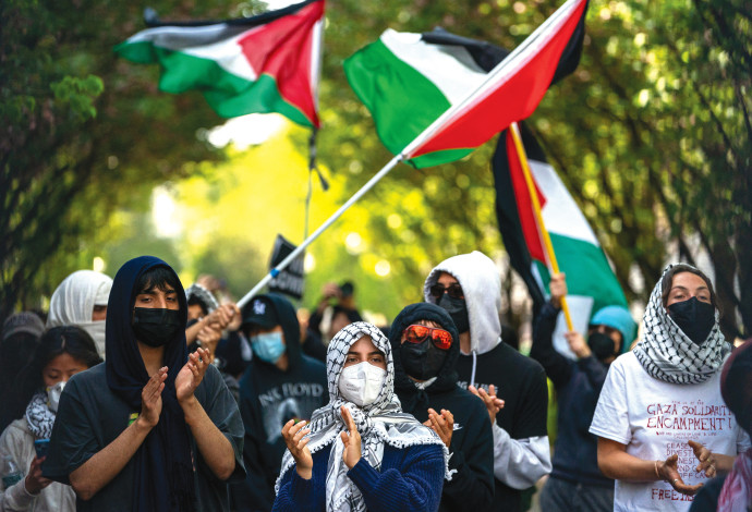 מפגינים פרו-פלסטינים באוניברסיטת קולומביה (צילום:  רויטרס)
