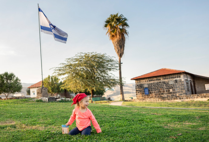 יום העצמאות  (צילום:  עלית הננסון)