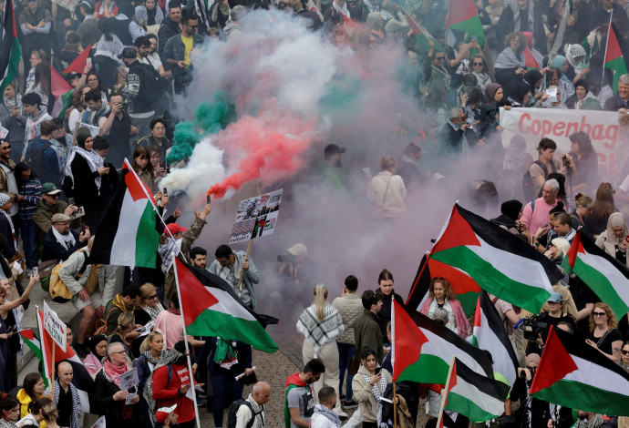 הפגנות פרו פלסטיניות במאלמו (צילום:  News Agency/Johan Nilsson via REUTERS)