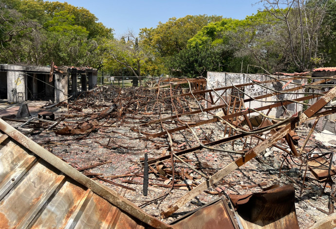 קבוצת טלאור כראדי בפרויקט ההריסה במימון מנהלת תקומה בבארי (צילום:  פלד ארבלי)